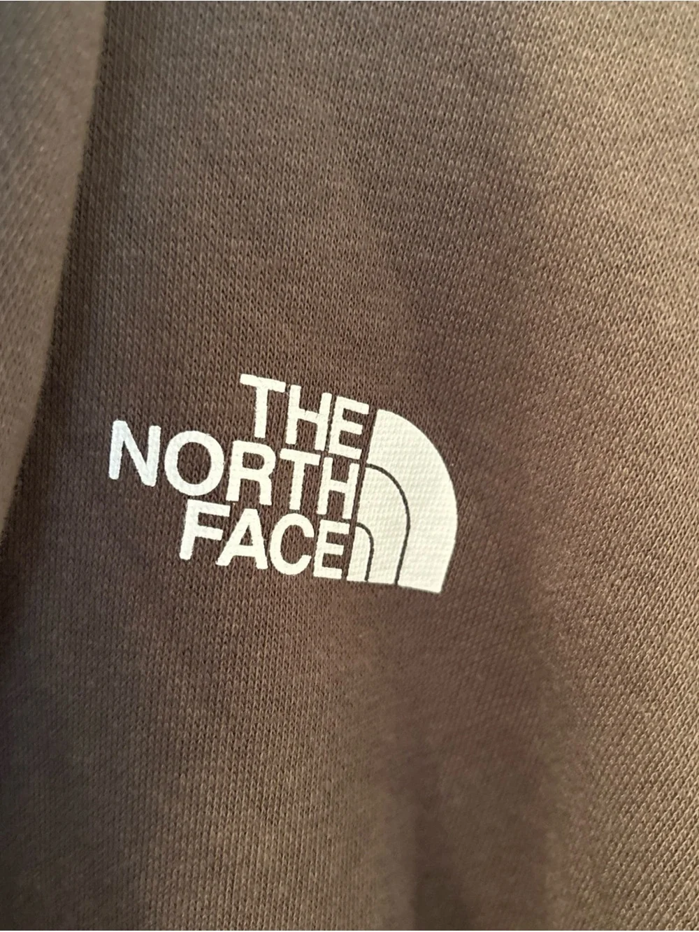 The North Face Brown Hoodie with White Explore Graphic
